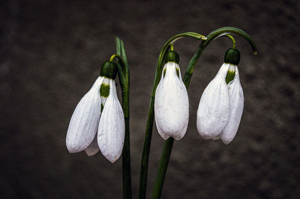 Photograph by Ирина Федорова