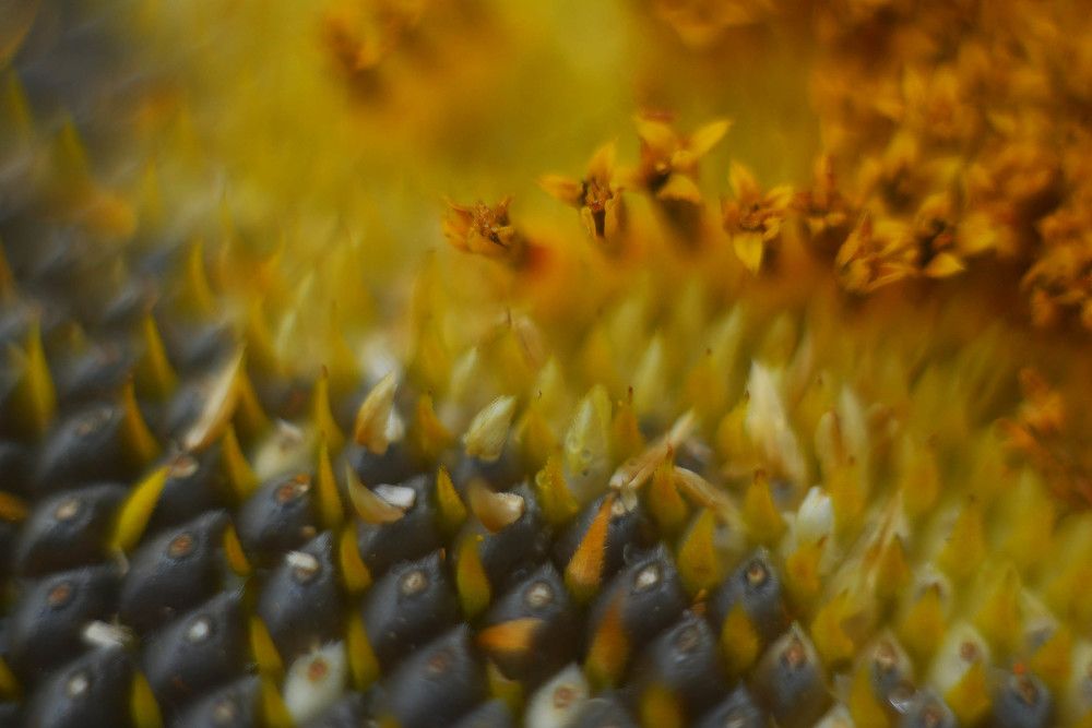 Photograph by Natalia Novkis