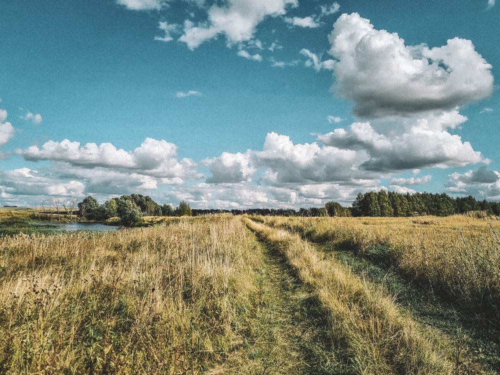 Photograph by Елена Квасова