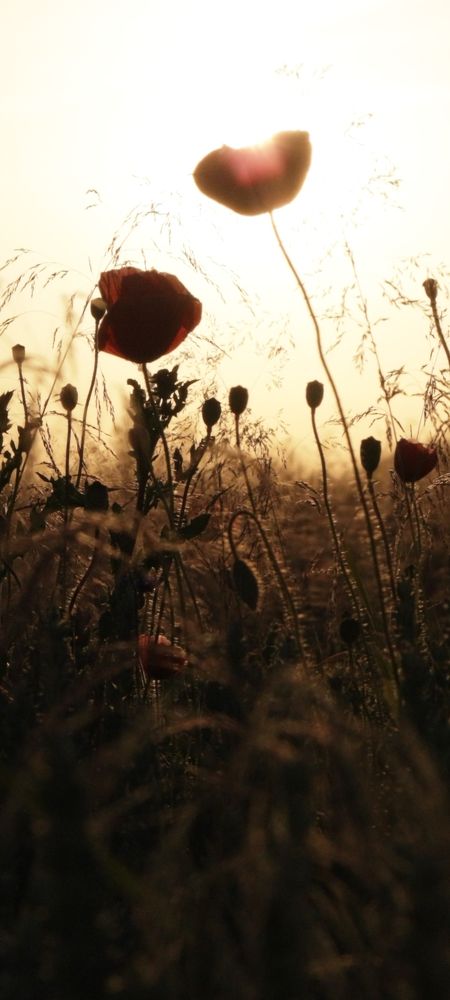 Photograph by Сергей Леонов