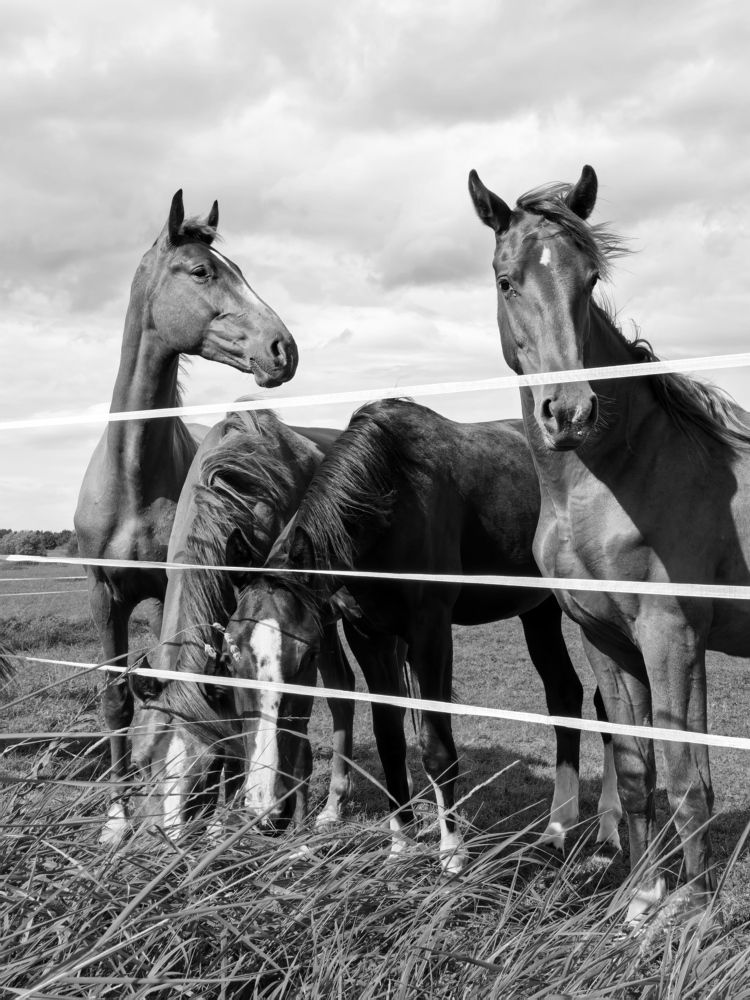 Photograph by Marina Avdeeva