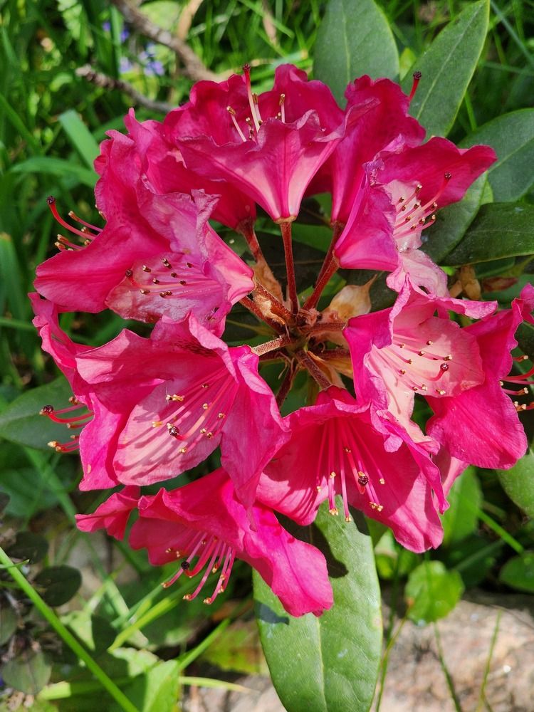 Фотография автора Александр Ахоньков