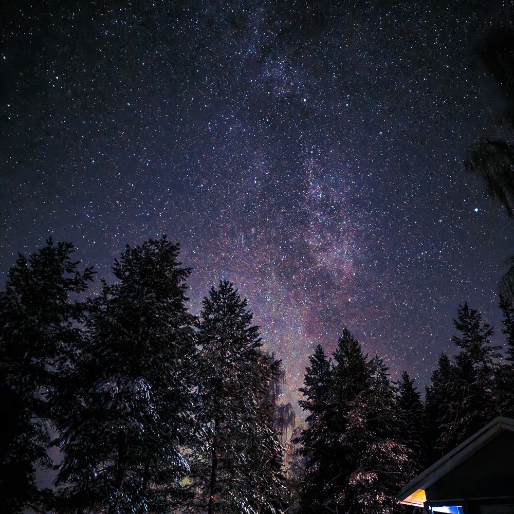 Фотография автора Michel Hoffmann