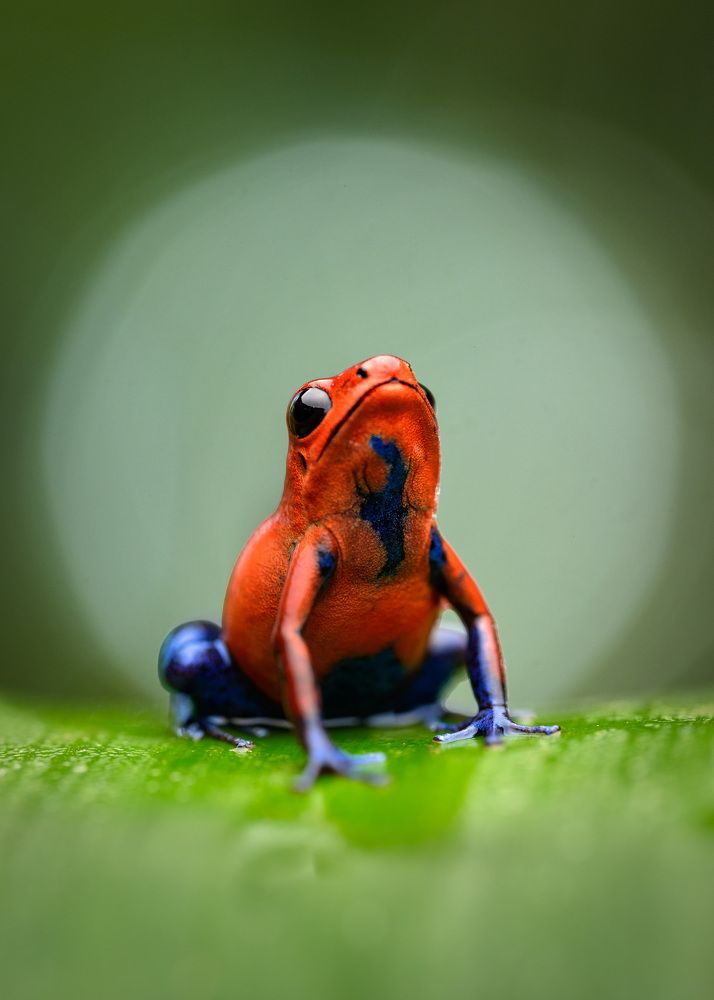 Photograph by Eliud Gil Samaniego