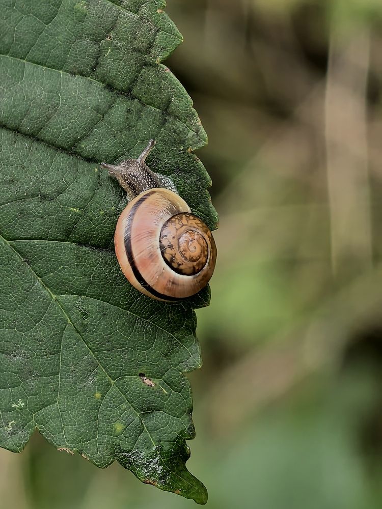 Photograph by Marina Avdeeva