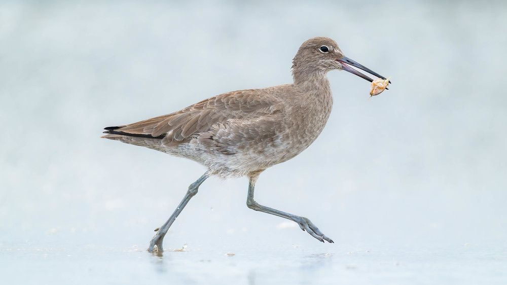 Photograph by Eliud Gil Samaniego