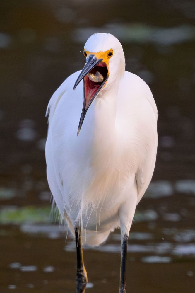 Photograph by Eliud Gil Samaniego