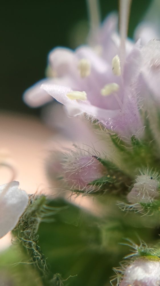 Photograph by Татьяна Пятернёва