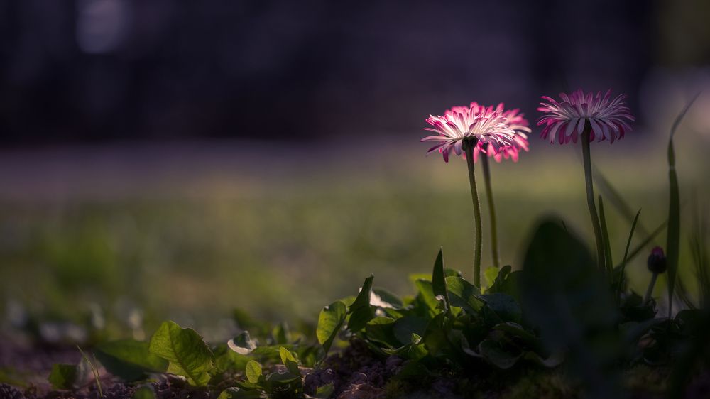 Photograph by Дмитрий Кудрявцев