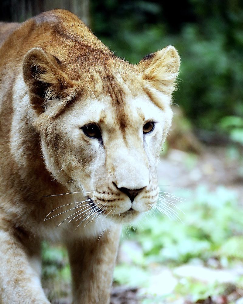 Photograph by Андрей Автухов