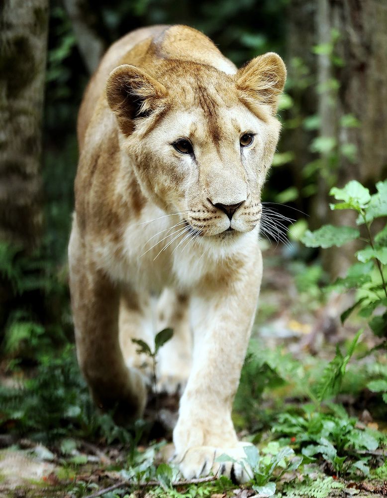 Photograph by Андрей Автухов