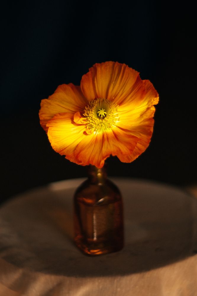 Photograph by Ксения Лаевская