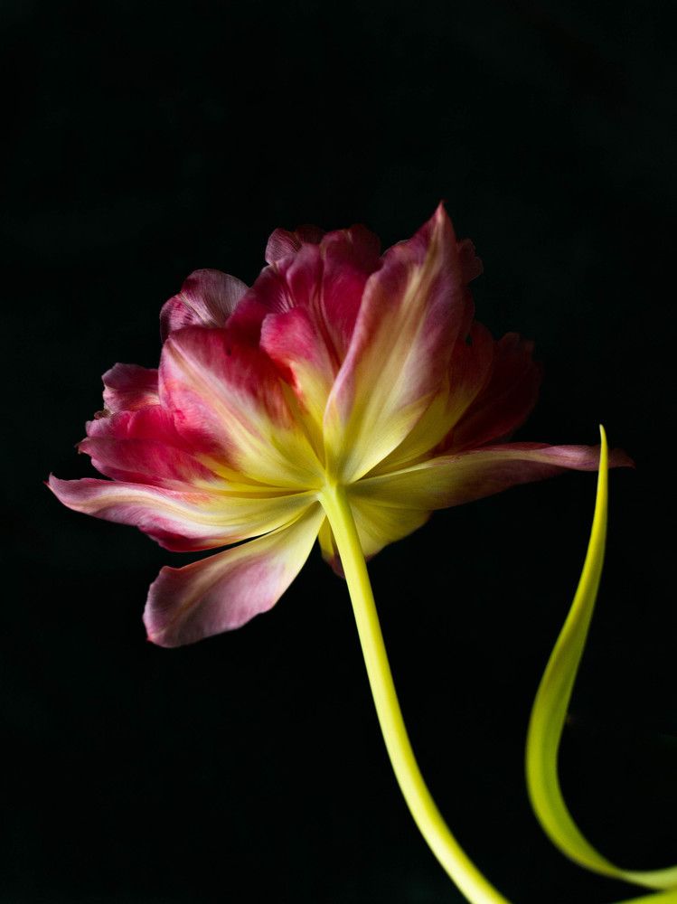 Photograph by Ксения Лаевская