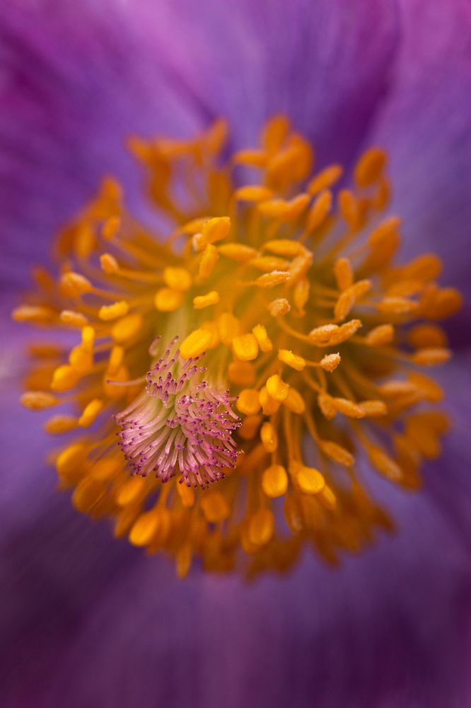 Photograph by Анна Татаренко