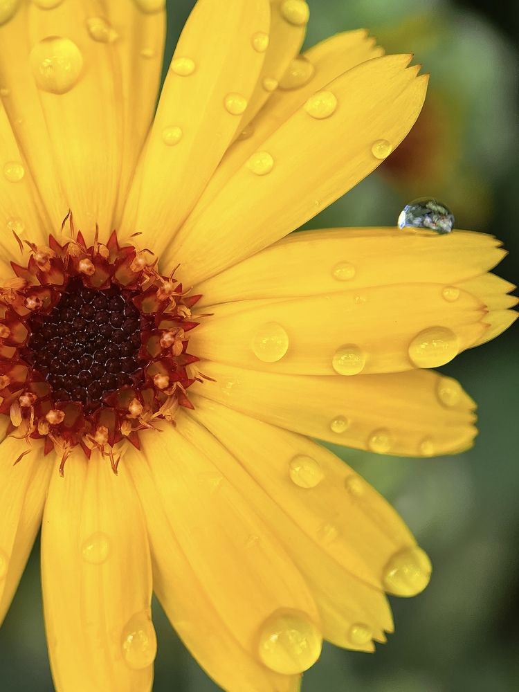 Photograph by Екатерина Валиуллина