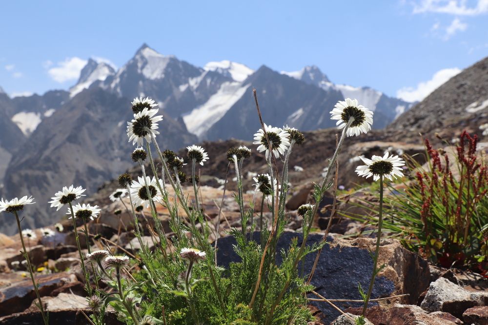 Фотография автора Анастасия Тараканова