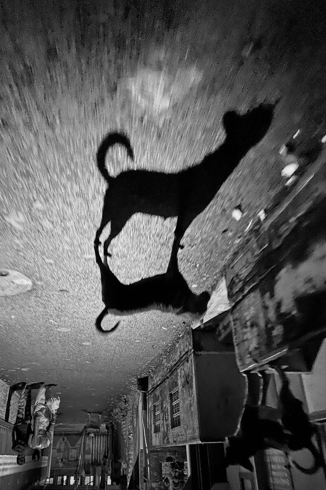 Photograph by Nurjaman Sheikh