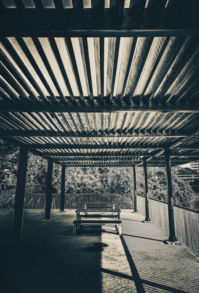 Фотография автора Walfrido Alexandre