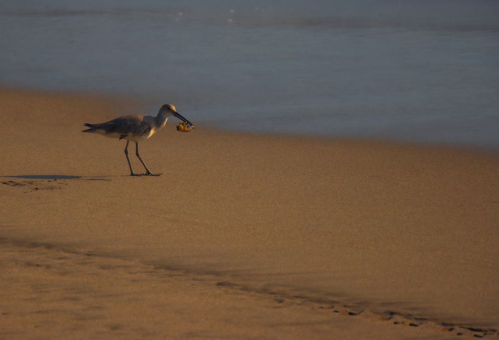 Photograph by Jaime Trejo