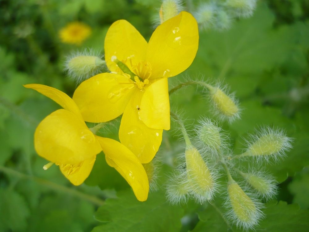 Photograph by Елена Смирнова