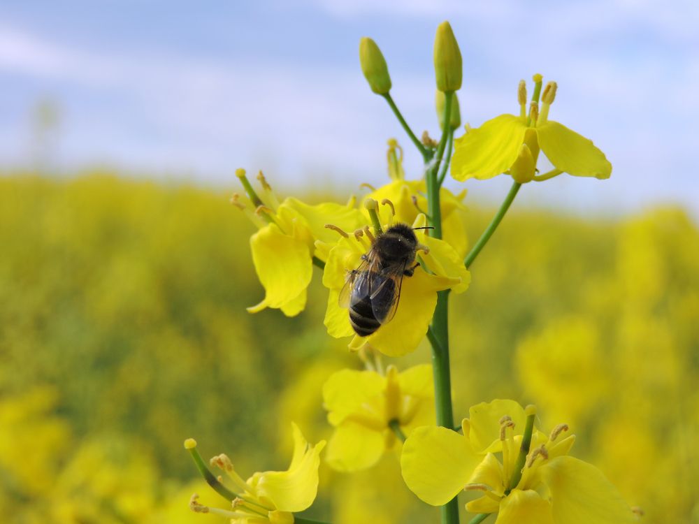 Photograph by Tatiana