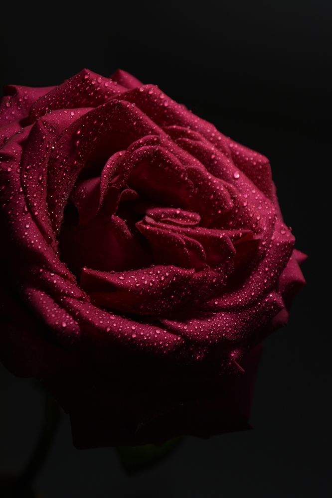 Photograph by Елена Фурашова