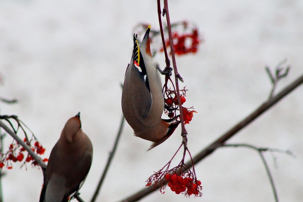 Photograph by Дмитрий Симагин