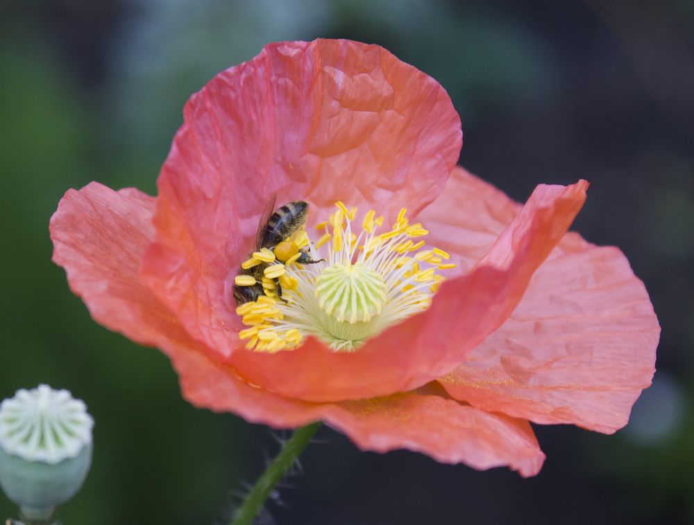 Фотография автора Кухта Мария