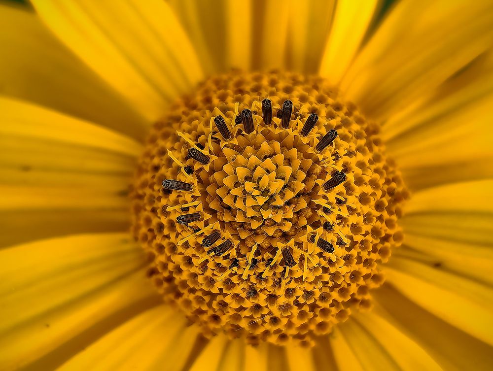 Фотография автора Кухта Мария