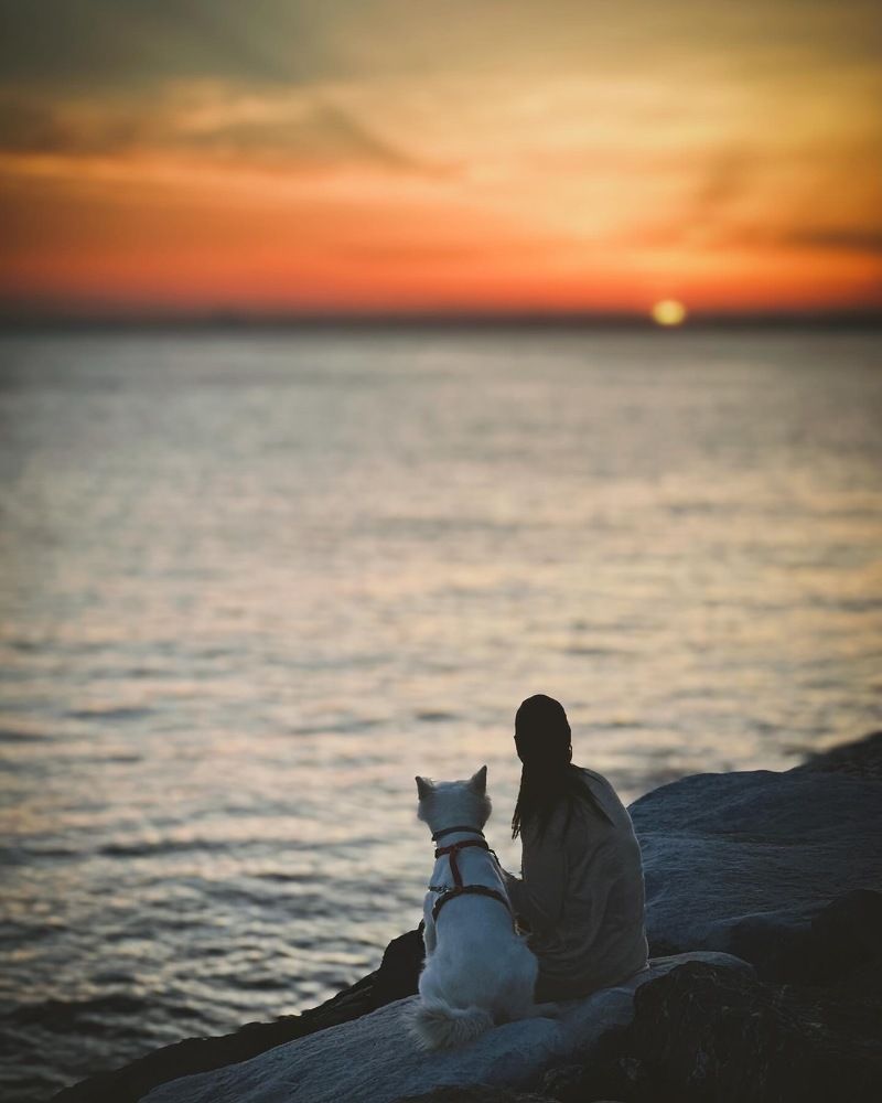 Фотография автора Merve Aruta