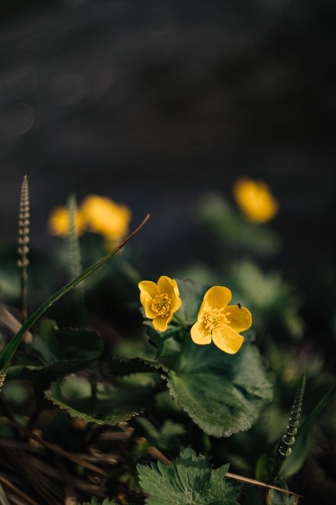 Photograph by Elena Kilina