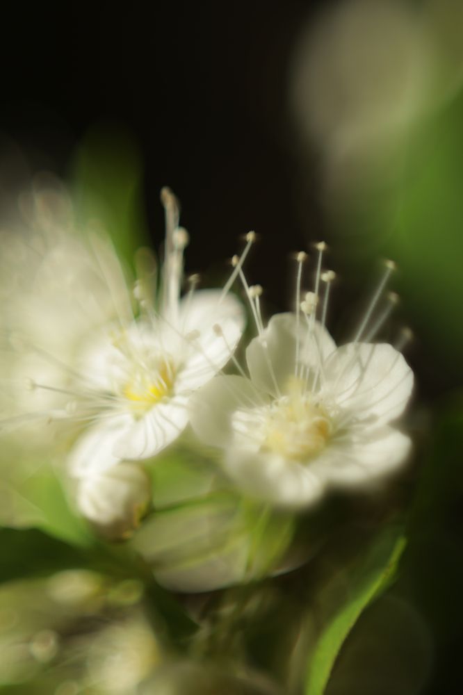 Photograph by Elena Kilina