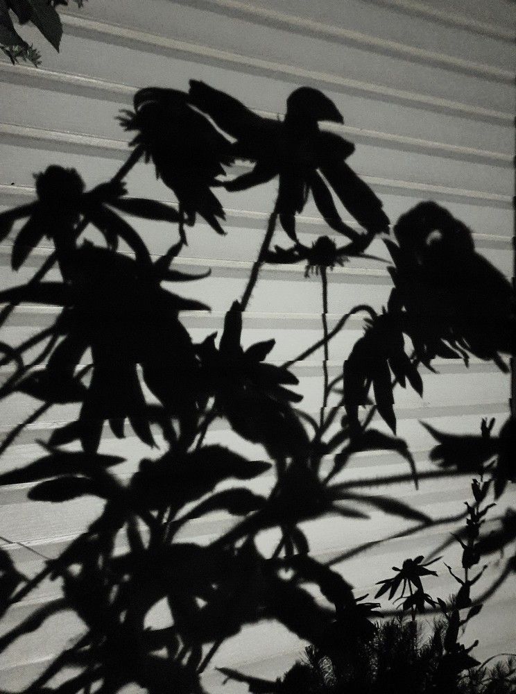 Photograph by Яна Галимуллина