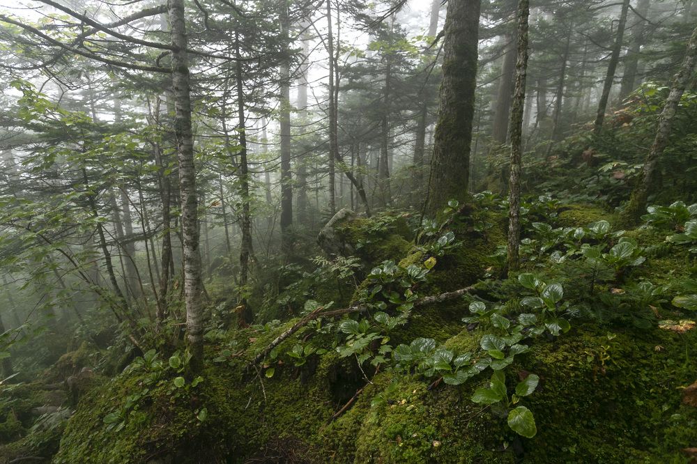 Photograph by ALEKSANDR KUZNETSOV