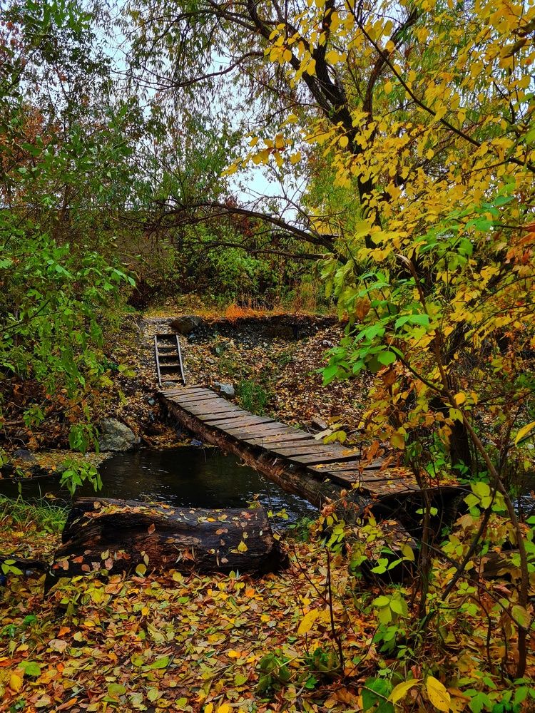 Photograph by Ольга Веселова