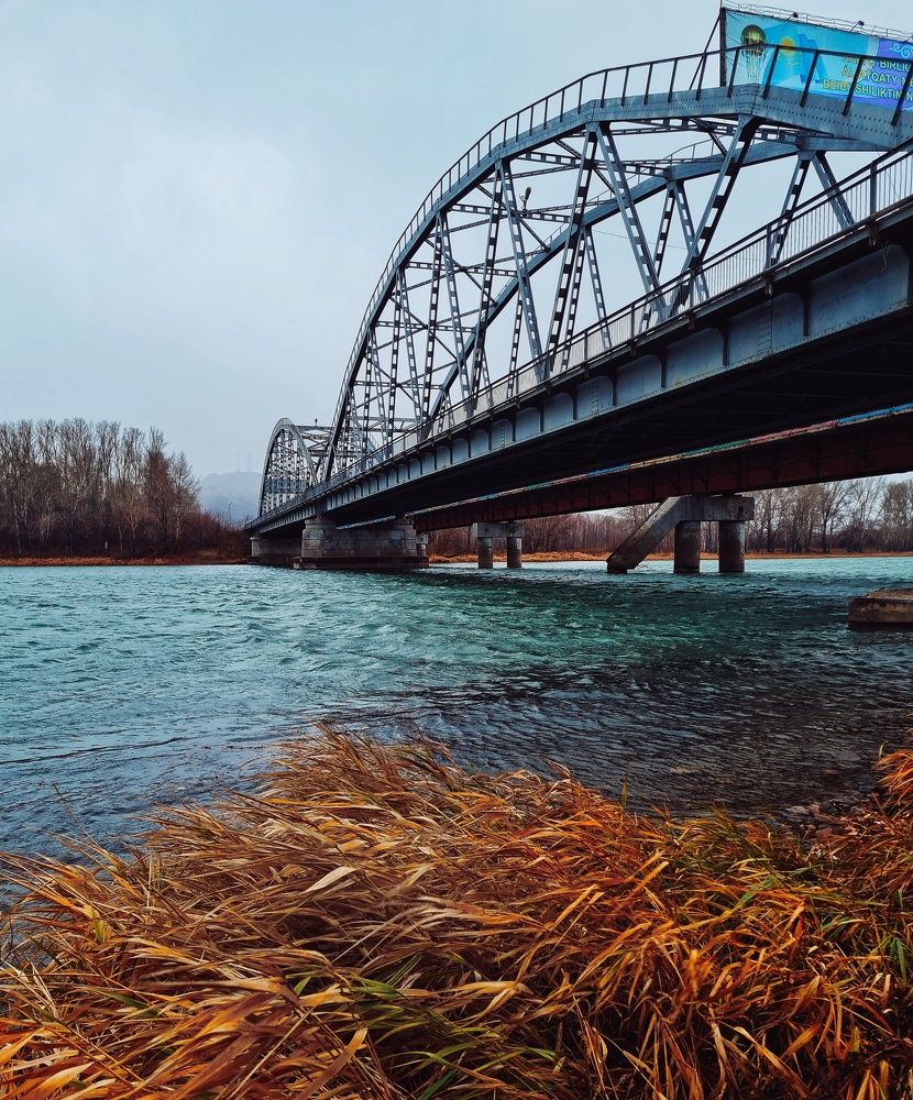 Photograph by Ольга Веселова