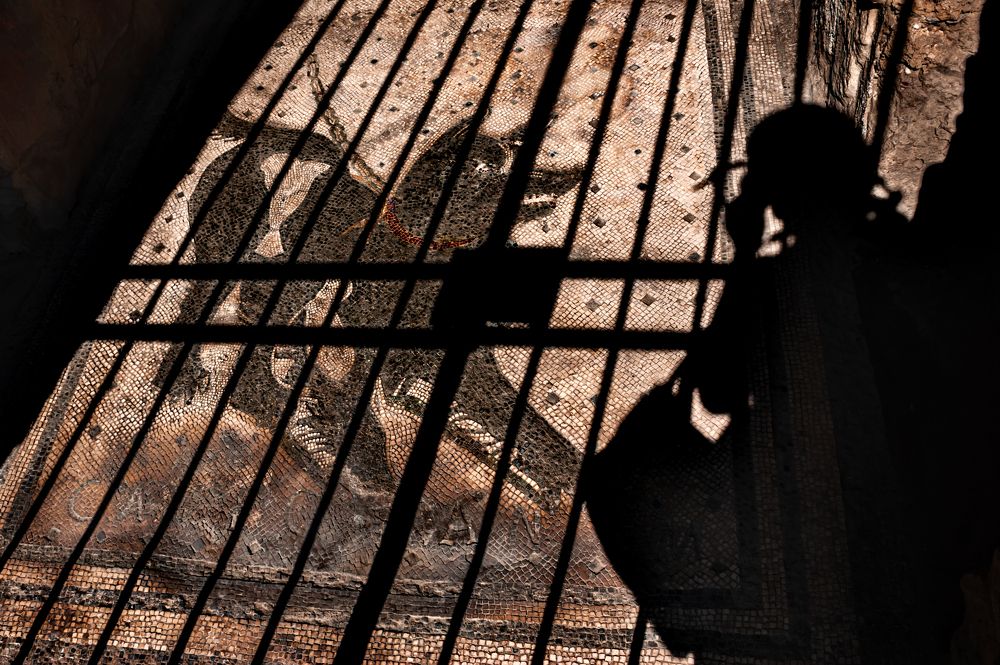 Photograph by Ольга Мусиенко