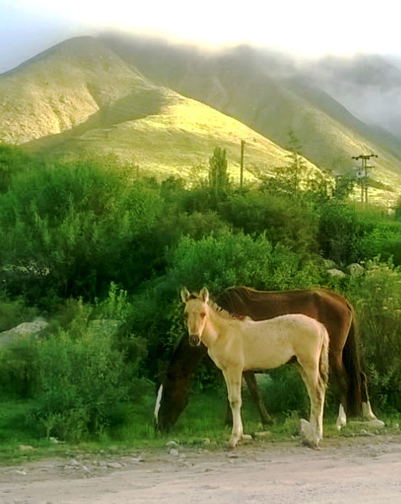 Photograph by ANA  LIA