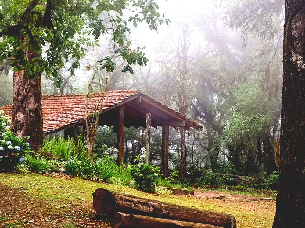 Фотография автора ANA  LIA