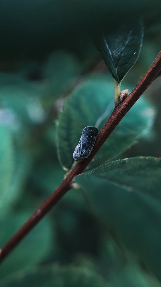 Photograph by Татьяна Михайлова
