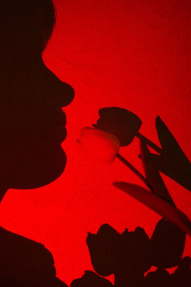 Photograph by Наталья Ситова