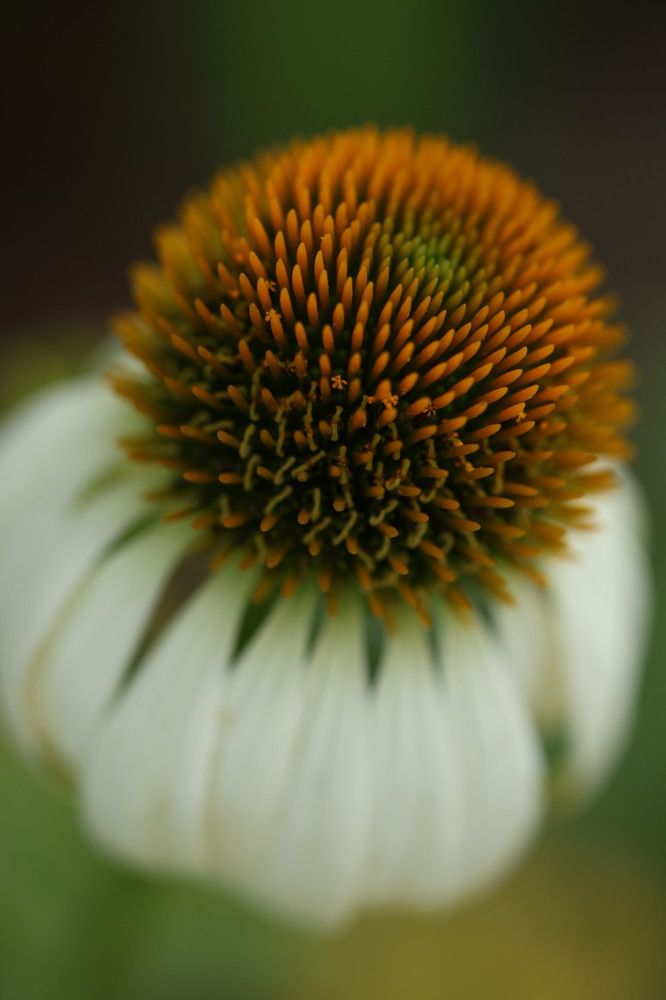 Photograph by Елена Третьякова