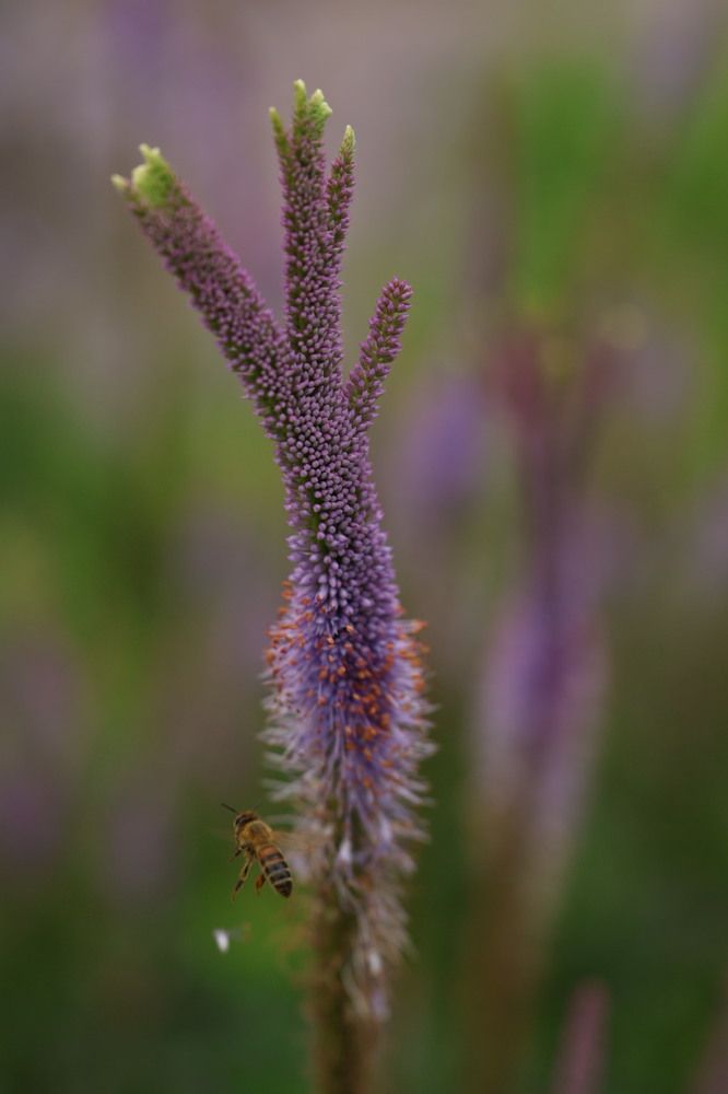 Photograph by Елена Третьякова