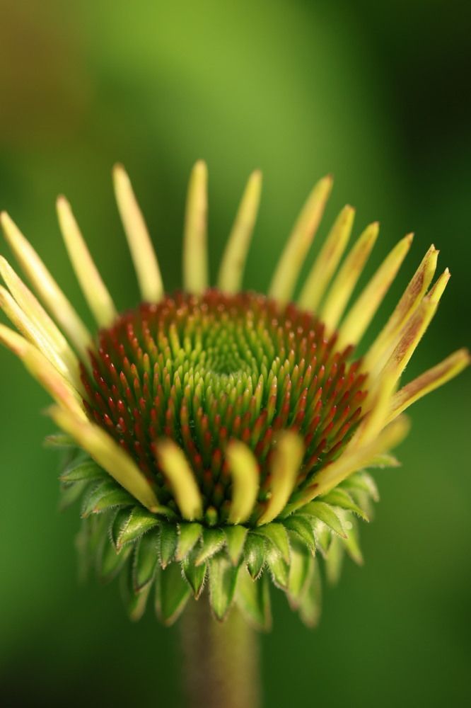 Photograph by Елена Третьякова