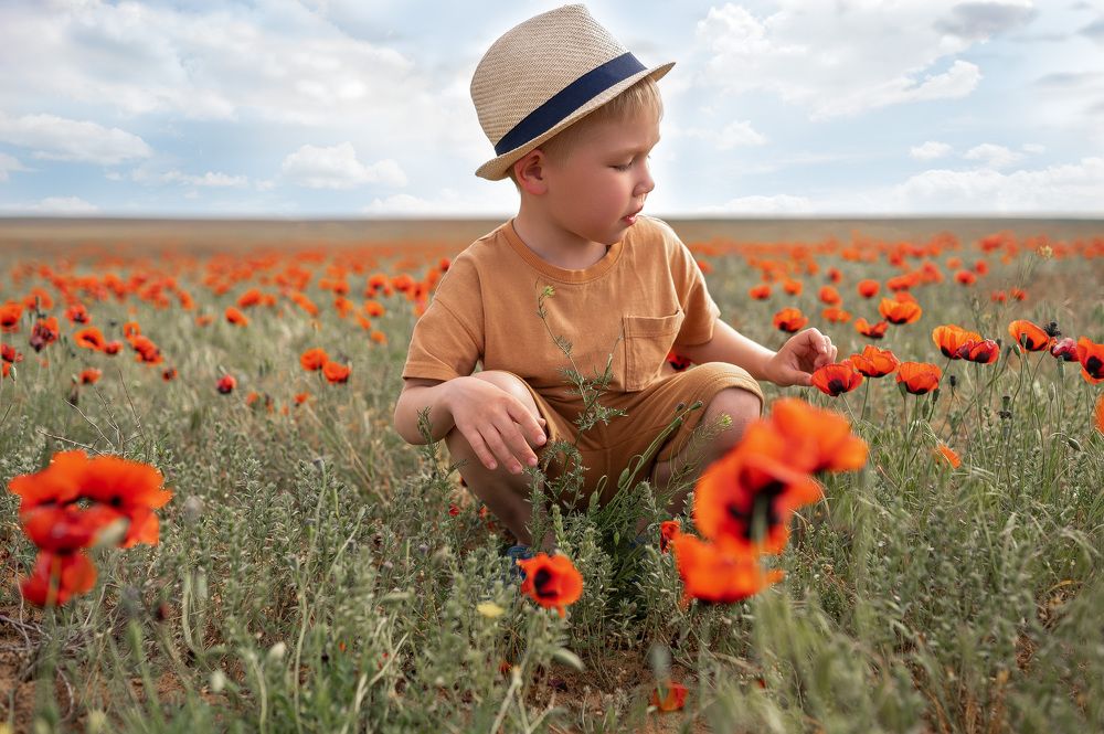 Photograph by Светлана Донская