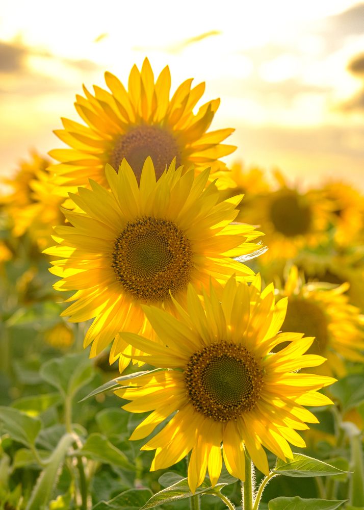 Photograph by Наталья Максимова