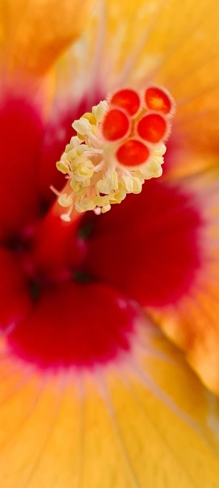 Photograph by Nadzeya