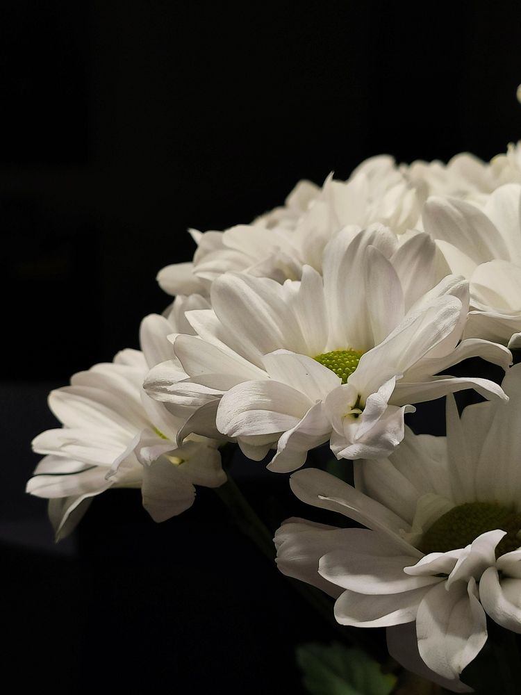 Фотография автора Екатерина