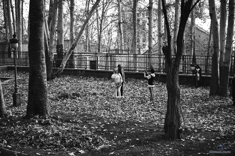 Фотография автора behrooz roosta