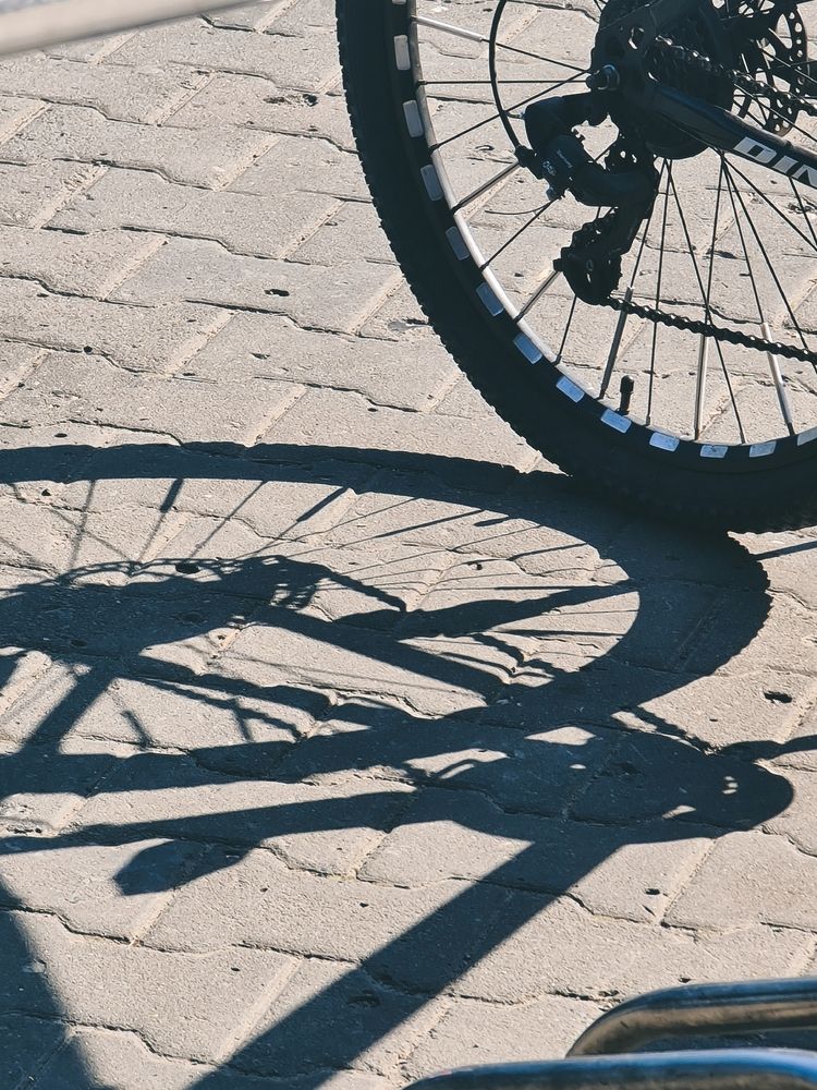 Photograph by Victoria Stoliarenko